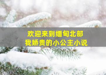 欢迎来到缅甸北部 我娇贵的小公主小说